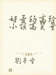 好看的高干言情小说高质量文笔好