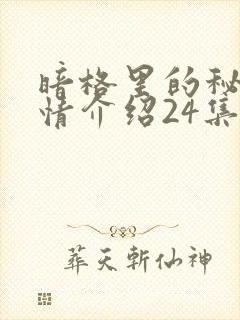 暗格里的秘密剧情介绍24集