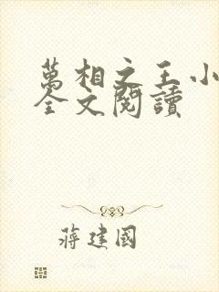 万相之王小说 全文阅读