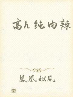 高h 纯肉辣文