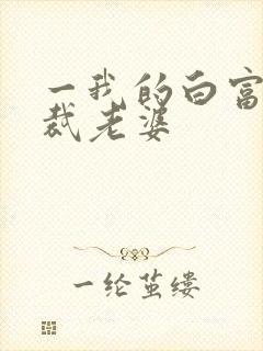 一我的白富美总裁老婆
