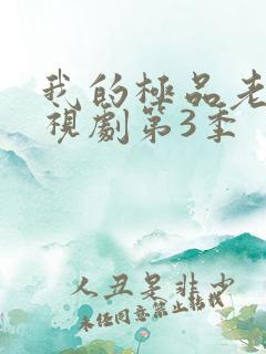 我的极品老婆电视剧第3季