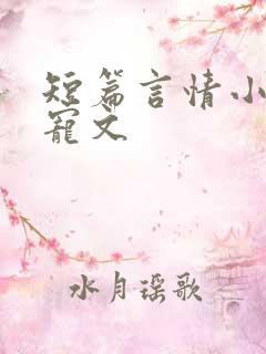 短篇言情小说甜宠文