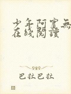 少年阿宾无删减在线阅读