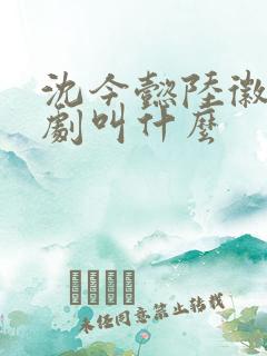 沈今懿陆徽时短剧叫什么