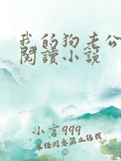 我的狗老公在线阅读小说