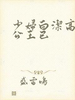 少妇白洁高义公公王已