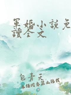 军婚小说免费阅读全文