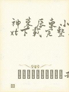 神墓辰东小说txt下载完整版