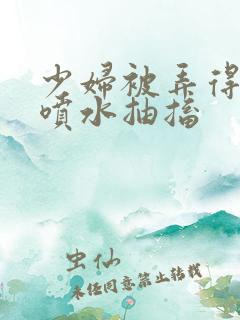 少妇被弄得高潮喷水抽搐