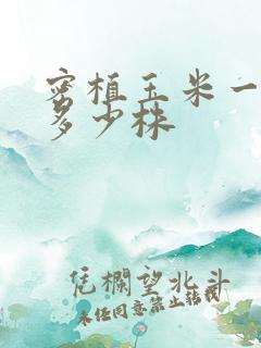 密植玉米一亩地多少株