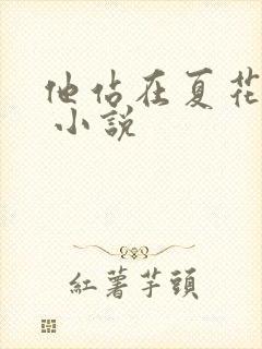 他站在夏花绚烂 小说