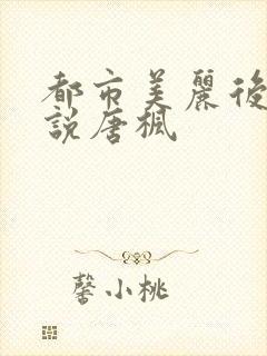 都市美丽后宫小说唐枫
