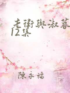 老卫与淑蓉1一12集