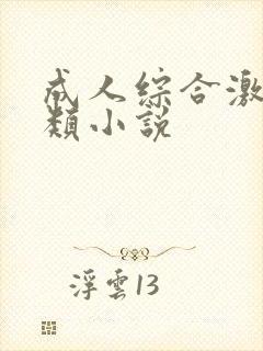 成人综合激情另类小说
