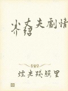 小丈夫剧情分集介绍