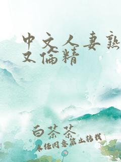 中文人妻熟妇乱又伦精