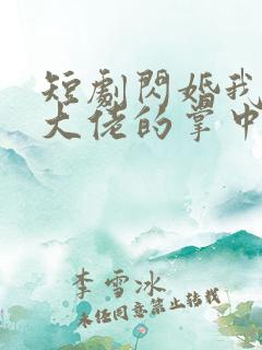 短剧闪婚我成了大佬的掌中之物
