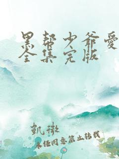 黑帮少爷爱上我全集完版