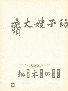 操大嫂子的逼视频