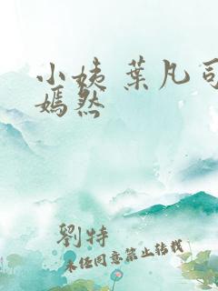 小姨 叶凡司空嫣然