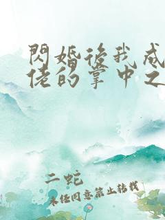 闪婚后我成了大佬的掌中之物男主角