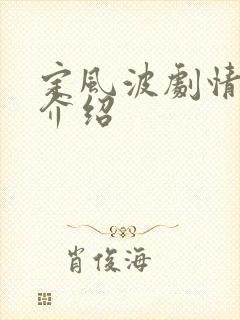 定风波剧情分集介绍