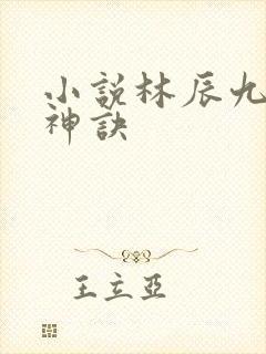 小说林辰九天斩神诀