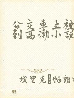公交车上被人摸到高潮小说