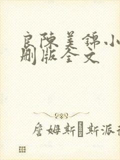 良陈美锦小说未删版全文