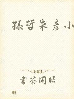孙哲朱彦小说