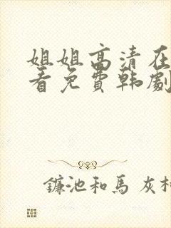姐姐高清在线观看免费韩剧