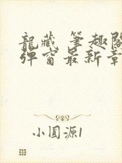 龙藏 笔趣阁无弹窗最新章节