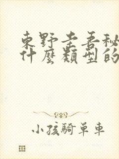 东野圭吾秘密是什么类型的书