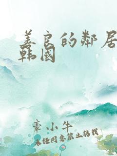 善良的邻居阿2韩国
