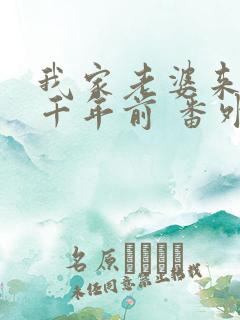 我家老婆来自一千年前 番外