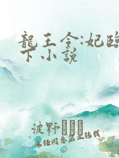 龙王令:妃临城下小说