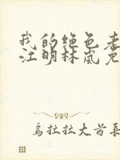 我的绝色老板娘江明林岚免费阅读
