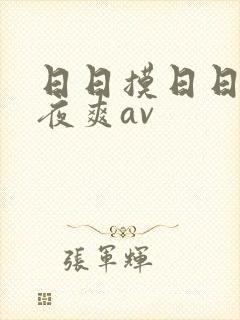 日日摸日日碰夜夜爽av