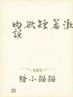 肉欲短篇激情小说
