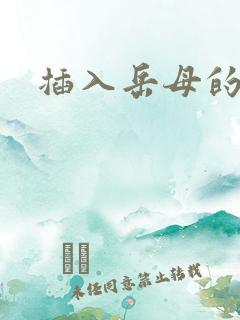 插入岳母的逼