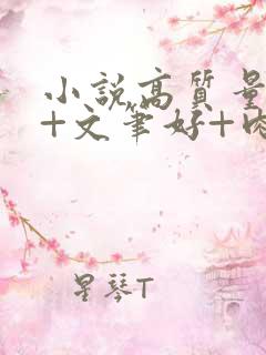 小说高质量言情+文笔好+肉