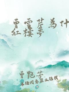 曹雪芹为什么写红楼梦