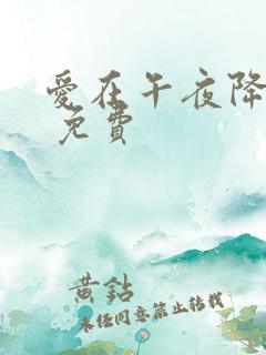 爱在午夜降临前 免费