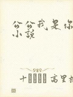 公公我是你儿媳小说