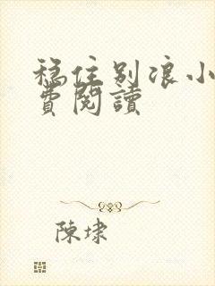 稳住别浪小说免费阅读