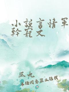小说言情军婚高干宠文