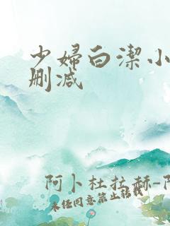 少妇白洁小说无删减