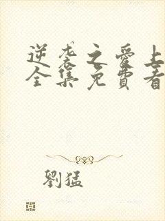 逆袭之爱上情敌全集免费看
