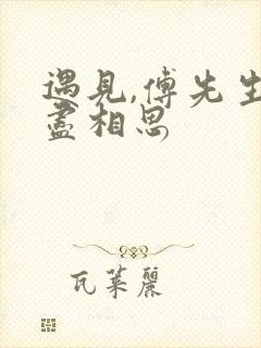 遇见,傅先生无尽相思